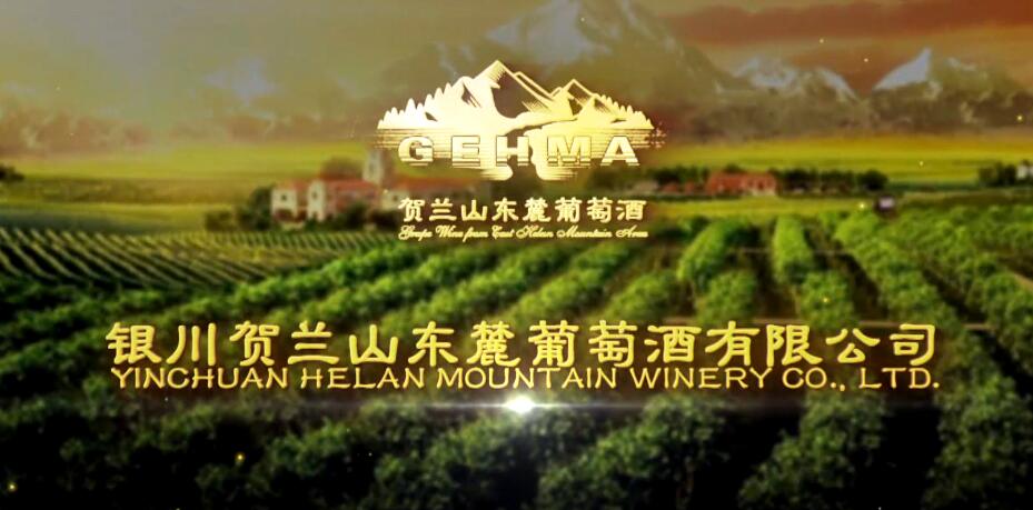 &#20048;&#31454;&#25163;&#26426;&#29256;&#45;&#20048;&#31454;&#108;&#101;&#106;&#105;&#110;&#103;&#40;&#20013;&#22269;&#41;